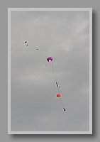 IMG_2915.JPG (19.9 KB)