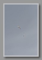IMG_2928.JPG (17.7 KB)