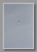 IMG_2931.JPG (18.1 KB)