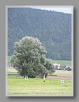 PICT0008.JPG (86.2 KB)