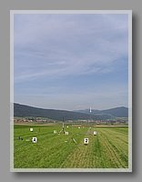 IMG_0008.JPG (51.9 KB)