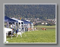 _9222936.JPG (107 KB)