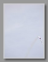 _9223033.JPG (19.5 KB)