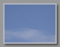 _9233217.JPG (20.9 KB)