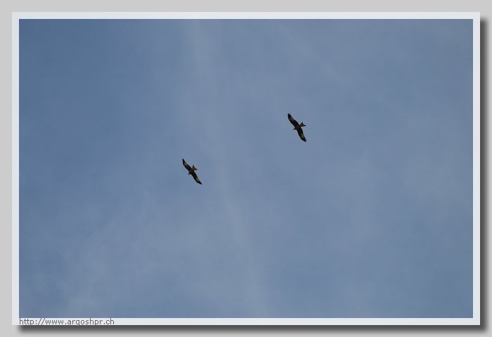 DSC_0236.JPG