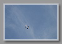 DSC_0238.JPG (22.0 KB)