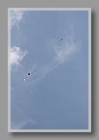 IMG_0675.JPG (22.2 KB)