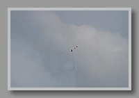 IMG_1073.JPG (20.1 KB)