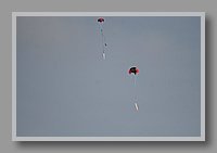 IMG_1374.JPG (19.1 KB)