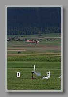 IMG_1473.JPG (59.6 KB)