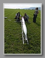 PICT0342.JPG (110 KB)