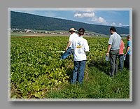 HPIM1066.JPG (110 KB)