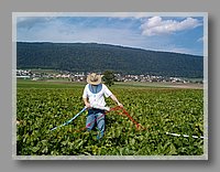 HPIM1067.JPG (96.6 KB)