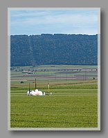 HPIM1075.JPG (62.0 KB)