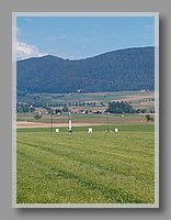 HPIM1085.JPG (70.7 KB)