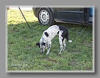HPIM0468.JPG (104 KB)