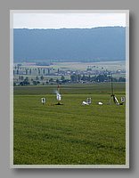 HPIM1241.JPG (58.3 KB)
