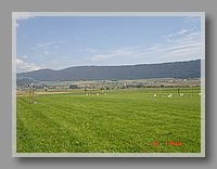 DSC00031.JPG (72.5 KB)
