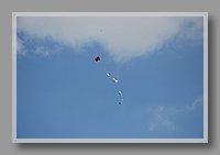 DSC_0090.JPG (22.3 KB)