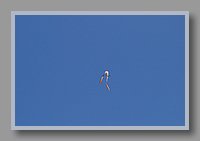 DSC_0171.JPG (20.6 KB)
