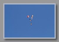 DSC_0174.JPG (21.6 KB)