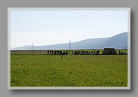 DSC_0177.JPG (55.4 KB)
