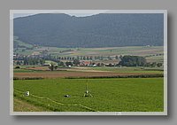 IMG_5301.JPG (61.9 KB)