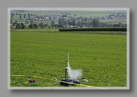 IMG_5314.JPG (85.9 KB)