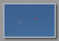 IMG_5914.JPG (18.9 KB)