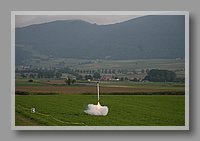 IMG_6521.JPG (43.2 KB)