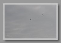 IMG_6745.JPG (18.3 KB)