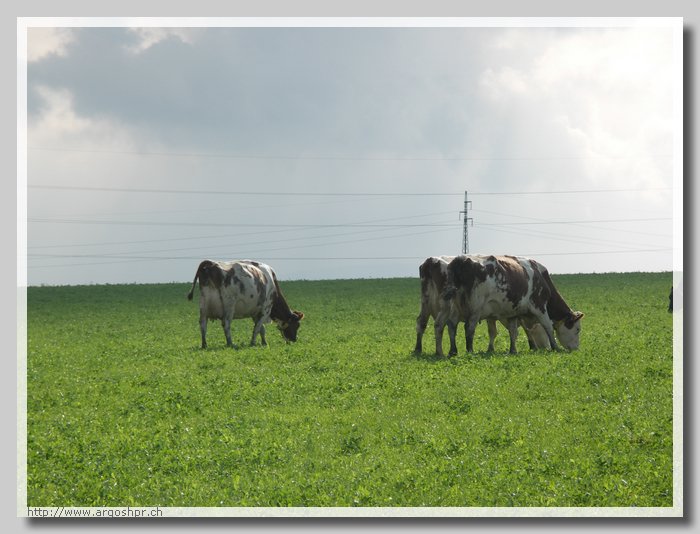 PICT0025.JPG