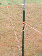 The fence