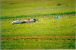 Payload recovered