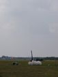 P8070051.JPG