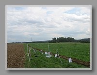 IMG_1906.jpg (65.6 KB)