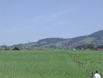 Landung