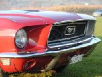 Ford Mustang !