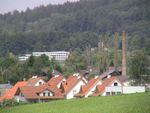Die Landung: Auf dem hchsten Baum im nchsten Dorf !!!