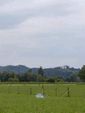 P7050037.JPG