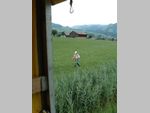 DSCF0038.JPG