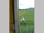 DSCF0039.JPG