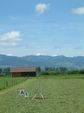 DSCF0027.JPG
