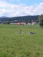 DSCN0045.JPG
