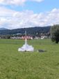 DSCN0046.JPG