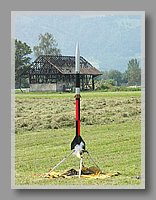 PICT0241.JPG (88.8 KB)