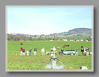 CIMG2492.JPG (71.2 KB)