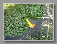 IMG_1402.JPG (111 KB)