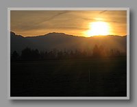 IMG_1490.JPG (32.4 KB)