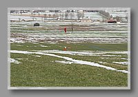 IMG_1067.JPG (78.8 KB)